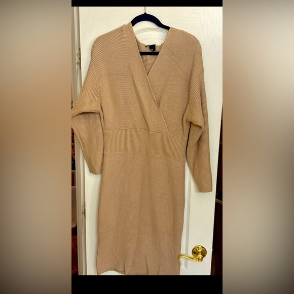 Express sweater dress (Size L) - Picture 1 of 4